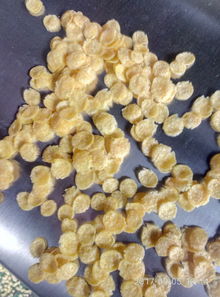 供应谷物膨化新利器 2mm-50mm圆球膨化机批发销售全解析