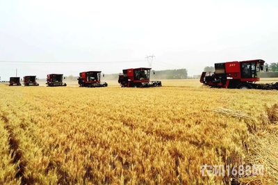 东方红小麦收割机问鼎农业农村部质量调查榜首，引领谷物收获新篇章