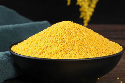 金佳谷物 优质谷物的匠心销售与全产业链服务